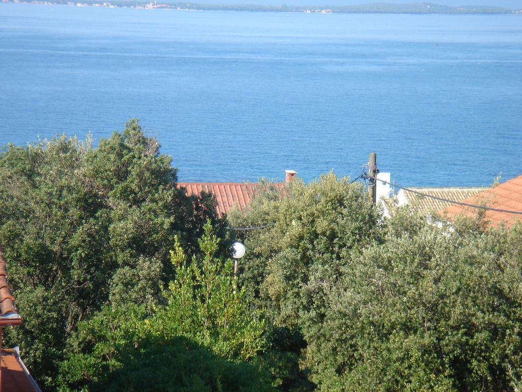 Villa Laurus Kožino Eksteriør bilde
