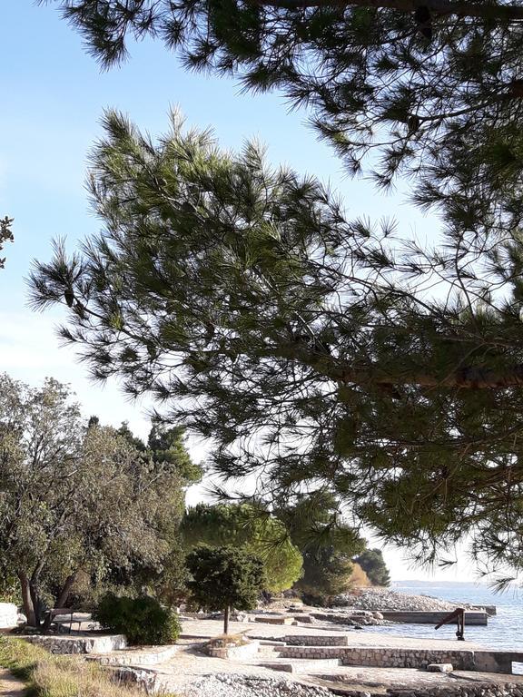 Villa Laurus Kožino Eksteriør bilde