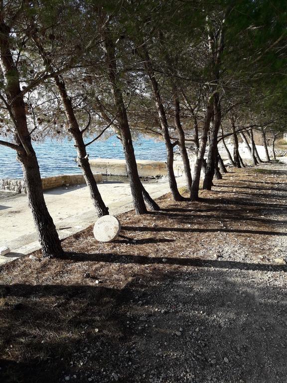 Villa Laurus Kožino Eksteriør bilde