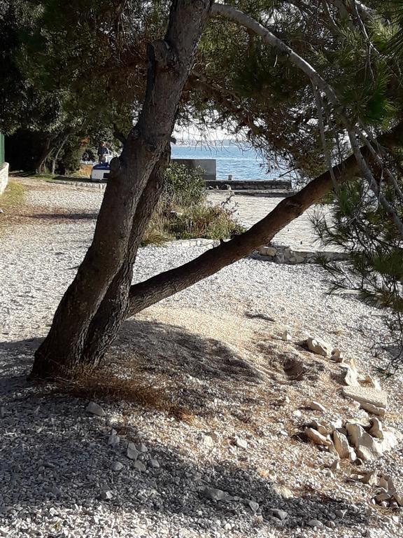 Villa Laurus Kožino Eksteriør bilde